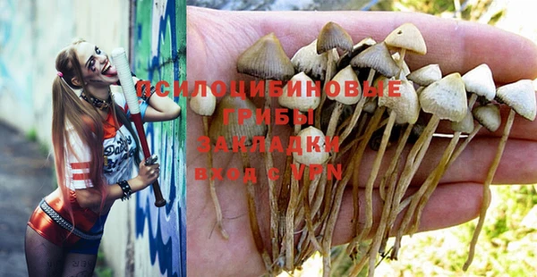 дживик Верхний Тагил