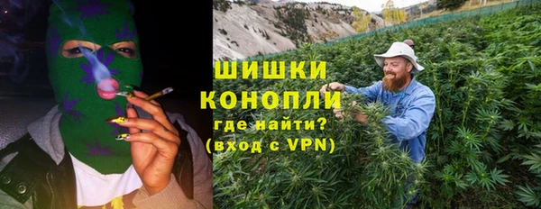 дживик Верхний Тагил