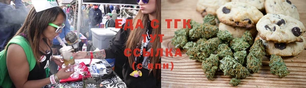 дживик Верхний Тагил
