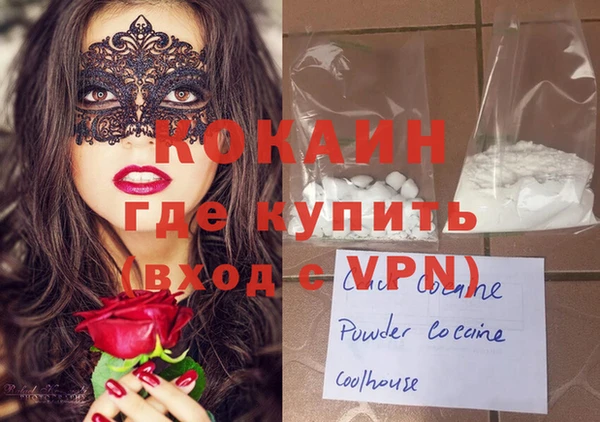дживик Верхний Тагил