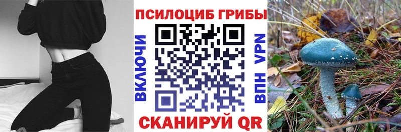 Псилоцибиновые грибы ЛСД  Купить  Бобров 